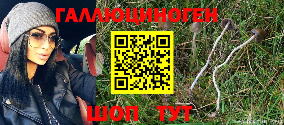 Галлюциногенные грибы MAGIC MUSHROOMS  Вход с VPN  Назарово 