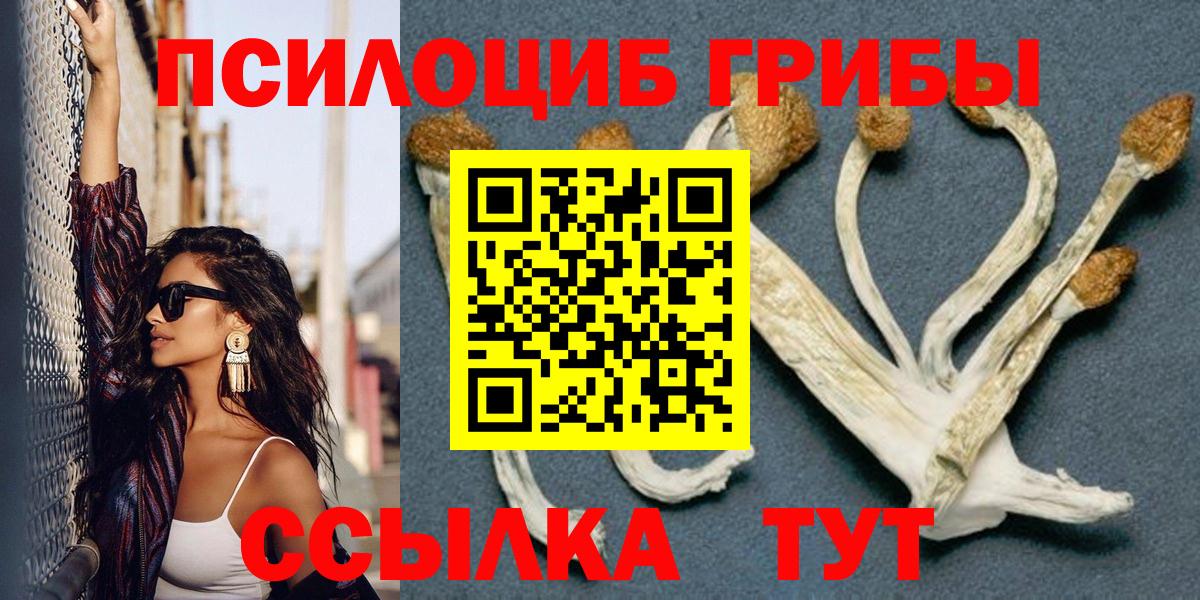 Псилоцибиновые грибы Cubensis Назарово